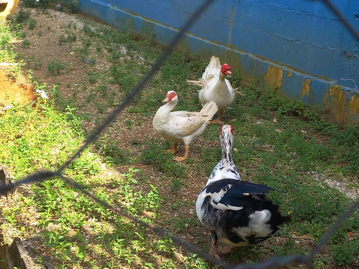 Comunidade Anuncia-Me Guaratinguetá Extérieur photo