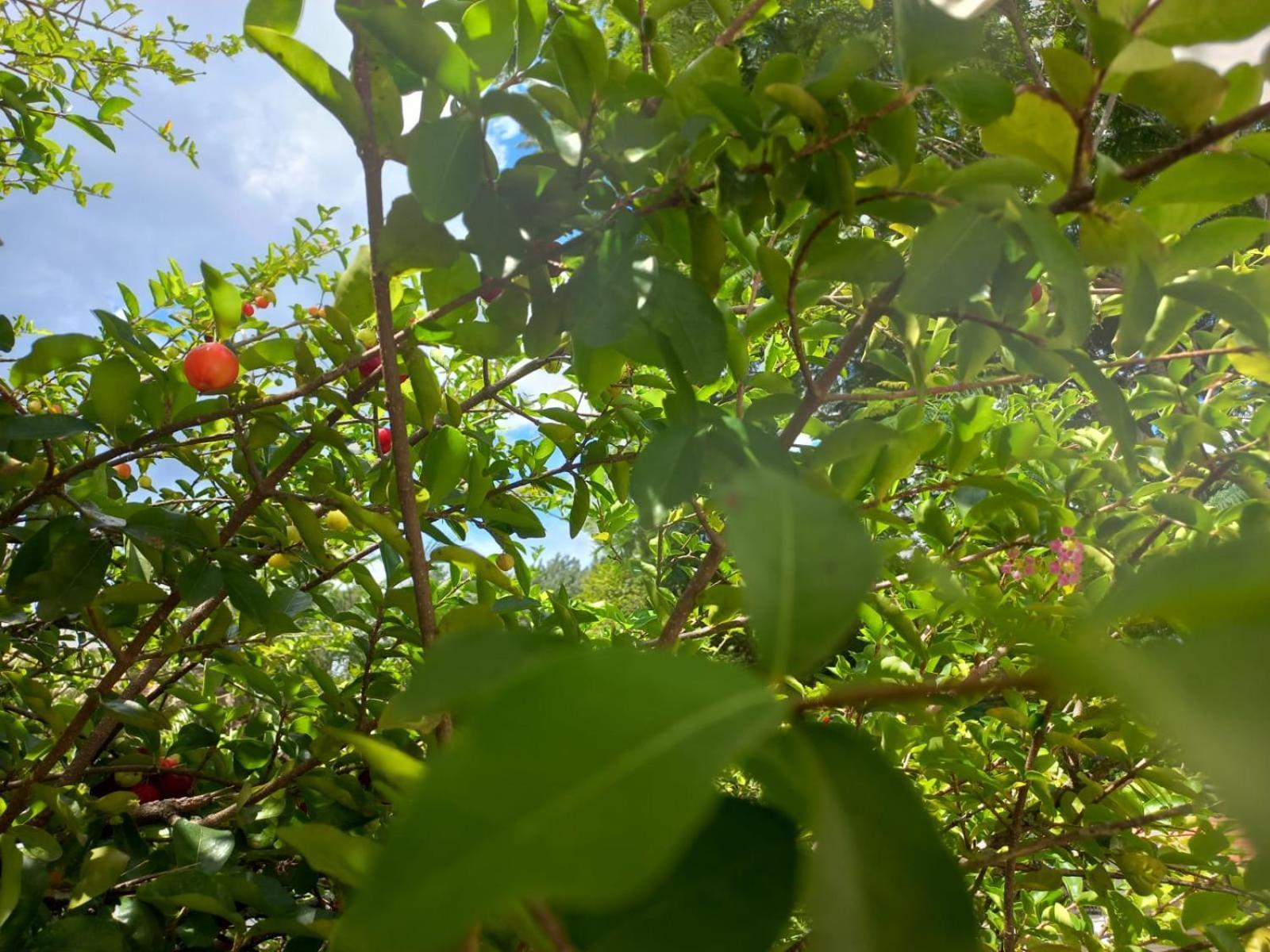 Comunidade Anuncia-Me Guaratinguetá Extérieur photo